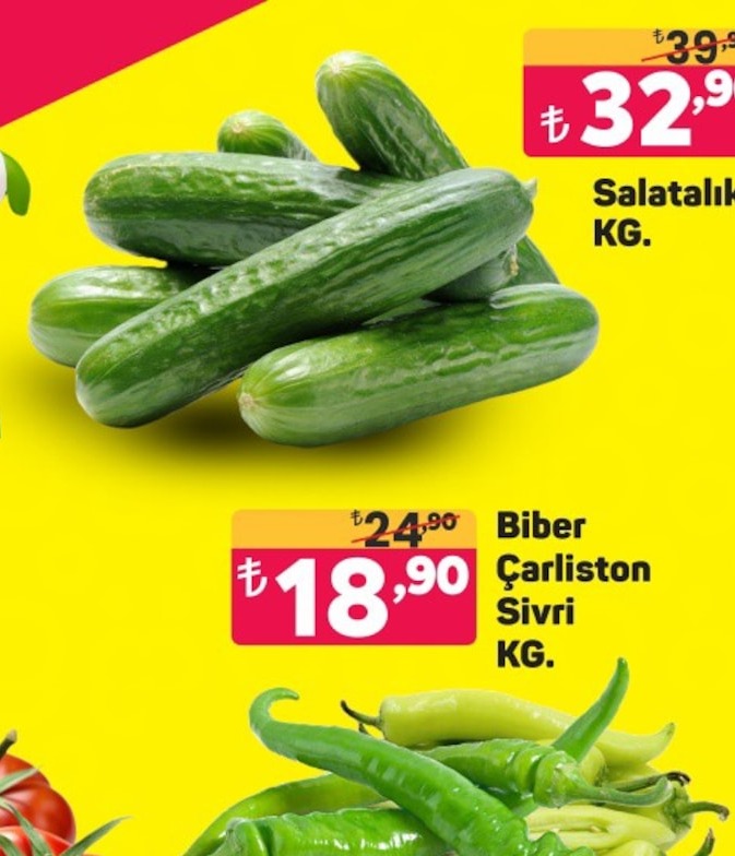 Salatalık Kg.