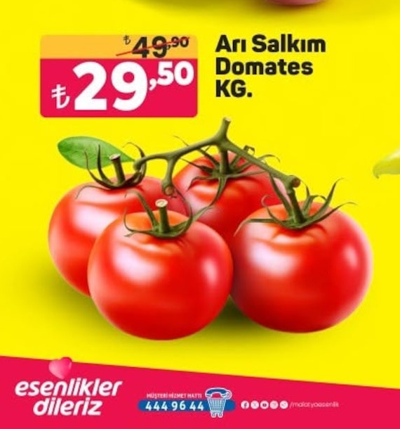Arı Salkım Domates Kg.
