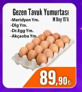 Gezen Tavuk Yumurtası M Boy 15'Li