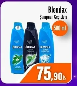Blendax Şampuan Çeşitleri 500 Ml