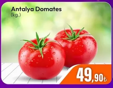 Antalya Domates (Kg.)