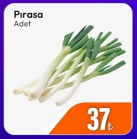 Pırasa Adet