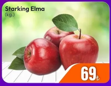 Starking Elma (Kg.)