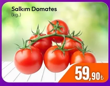 Salkım Domates (Kg.)
