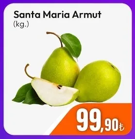 Santa Maria Armut (Kg.)