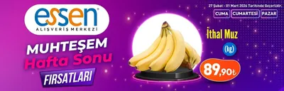 Essen İthal Muz (Kg)