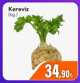 Kereviz (Kg.)