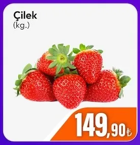 Çilek (Kg.)