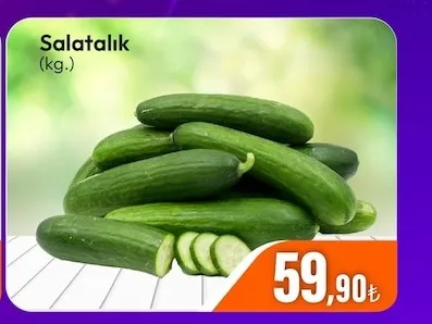 Salatalık (Kg.)