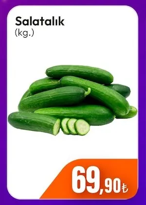 Salatalık (Kg.)