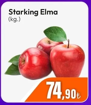 Starking Elma (Kg.)