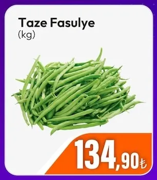 Taze Fasulye (Kg)