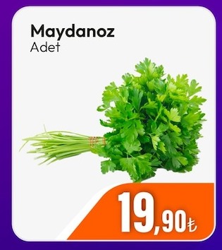 Maydanoz Adet