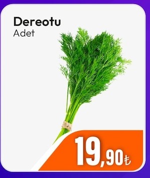 Dereotu Adet