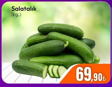 Salatalık (Kg.)