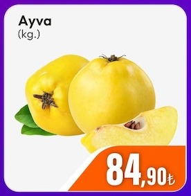 Ayva (Kg.)