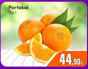 Portakal (Kg.)