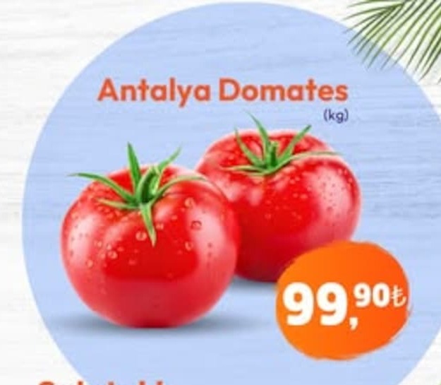 Antalya Domates (Kg)
