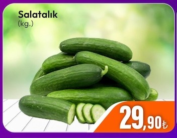 Salatalık (Kg.)