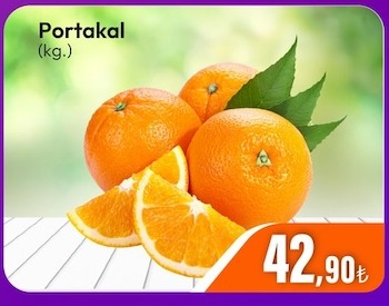 Portakal (Kg.)