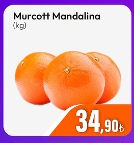 Murcott Mandalina