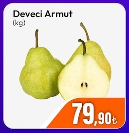 Deveci Armut