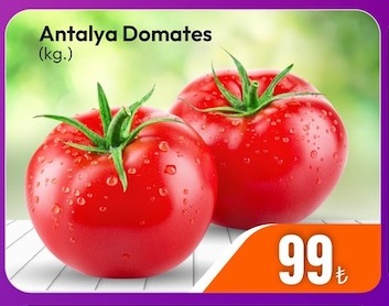 Antalya Domates (Kg.)