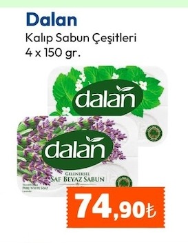 Dalan Kalıp Sabun Çeşitleri 4 X 150 Gr