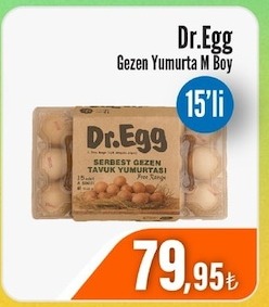 Dr.Egg Gezen Yumurta M Boy 15 Adet