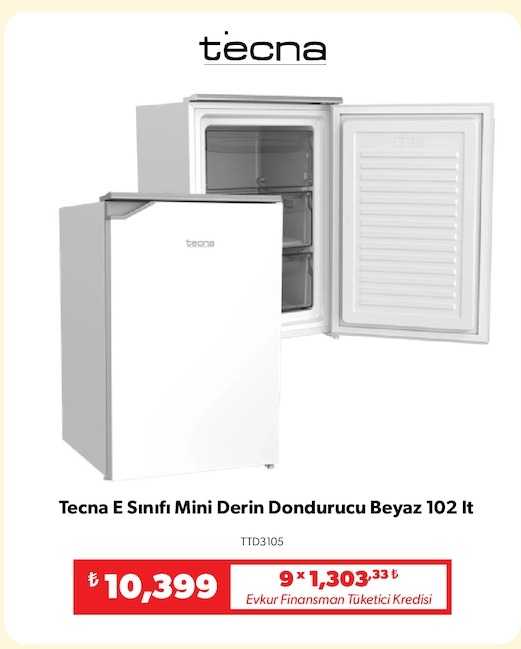 Tecna E Sınıfı Mini Derin Dondurucu Beyaz 102 Lt