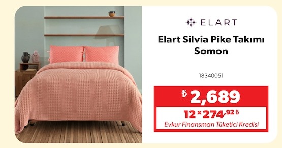 Elart Silvia Pike Takımı Somon