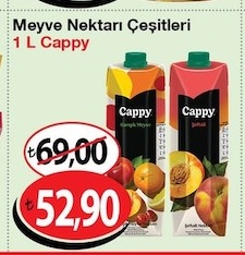 Cappy Meyve Nektarı Çeşitleri 1 L
