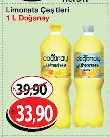 Limonata Çeşitleri 1 L Doğanay