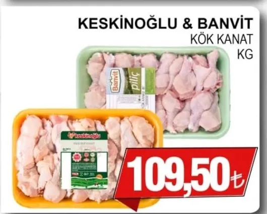Keski̇Noğlu & Banvi̇T Kök Kanat Kg