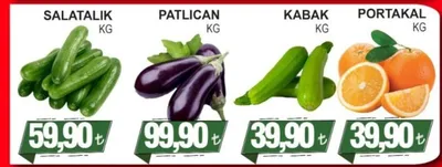 Salatalık Kg