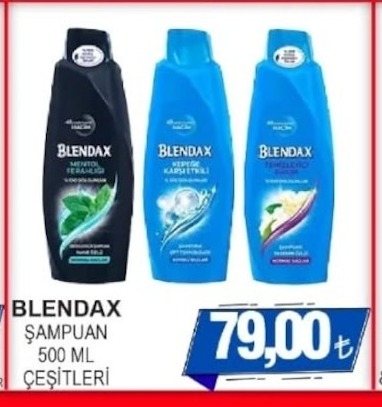 Blendax Şampuan 500 Ml Çeşitleri