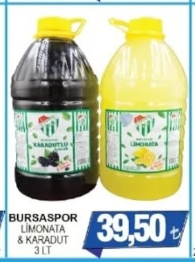 Bursaspor Limonata & Karadut 3 Lt