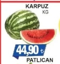 Karpuz Kg
