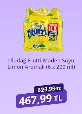 Uludağ Frutti Maden Suyu Limon Aromalı (6 X 200 Ml)