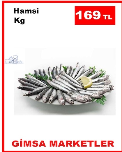 Hamsi Kg