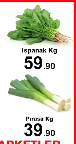 Ispanak Kg