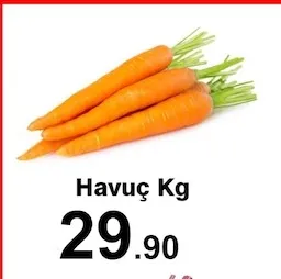 Havuç Kg