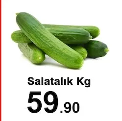 Salatalık Kg