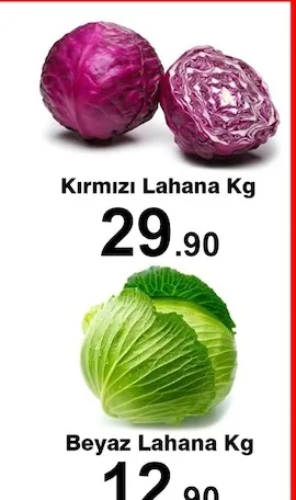 Kırmızı Lahana Kg