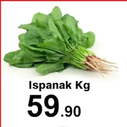 Ispanak Kg