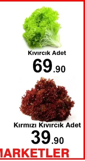 Kıvırcık Adet