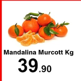 Mandalina Murcott Kg