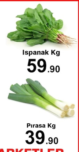 Ispanak Kg