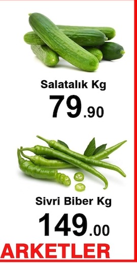 Salatalık Kg