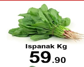 Ispanak Kg